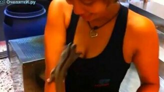 Зверёк спрятался - смотреть видео (0:25)