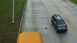 Утка-камикадзе - смотреть видео (2:07)