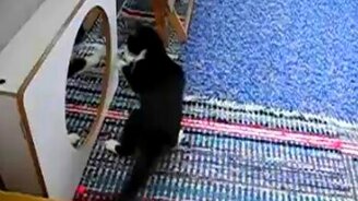 Бой с отражением - смотреть видео (1:04)