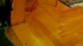 Бурундук в доме хозяин! - смотреть видео (0:15)