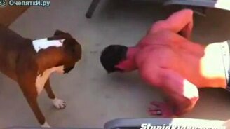 Собака-тренер - смотреть видео (0:23)