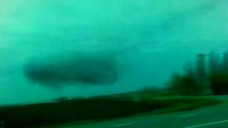 Птичий флеш моб - смотреть видео (3:10)