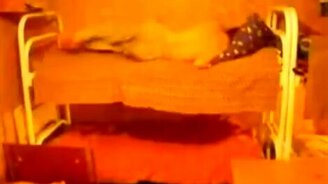 Нежданчик с верхней полки - смотреть видео (0:06)