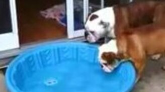 Жара на улице - смотреть видео (1:45)