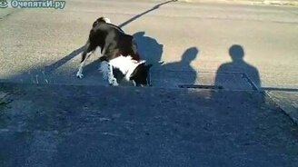 Игра с тенью - смотреть видео (0:18)