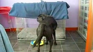 Пора баиньки - смотреть видео (0:13)