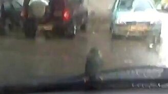 Несокрушимый воробей - смотреть видео (0:33)