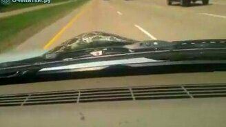 Змея-путешественница - смотреть видео (2:24)