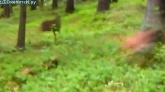 Как поезд переехал - смотреть видео (0:48)