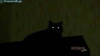 Глаза-мигалки - смотреть видео (0:20)