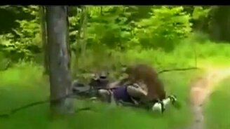 Курьёзы на природе - смотреть видео (3:22)