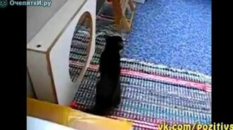 Борьба с самим собой - смотреть видео (0:41)