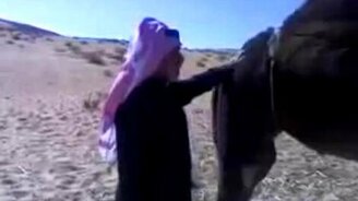 Араб испугался - смотреть видео (0:08)