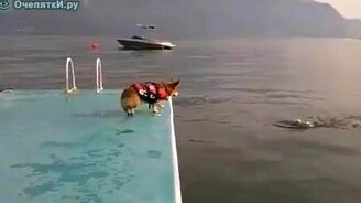 Спасатель мячика - смотреть видео (1:24)