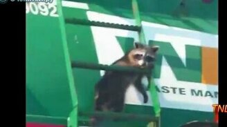 Забавные моменты июль-август 2011 - смотреть видео (3:19)