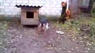 Вражеский хвост - смотреть видео (0:45)