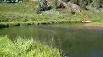 Смерти испугались - смотреть видео (0:20)