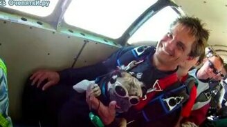 Собака-скайдайвер - смотреть видео (2:22)