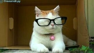 Сон в очках - смотреть видео (0:47)