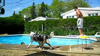 Скользский трамплин - смотреть видео (0:21)