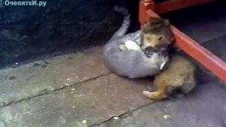 Смертельная схватка - смотреть видео (1:08)