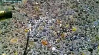 Водяные червячки - смотреть видео (0:18)