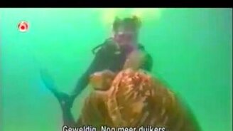 Смешные моменты на отдыхе - смотреть видео (8:28)