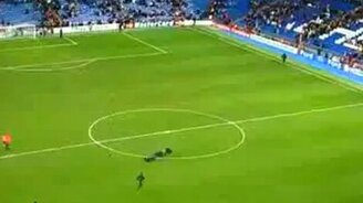 Ловкий удиральщик - смотреть видео (0:40)