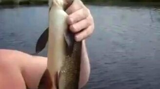 Язь - рыба моей мечты - смотреть видео (0:27)