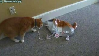 Страшный незнакомец - смотреть видео (0:59)