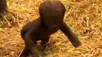 Первые шаги - смотреть видео (1:29)