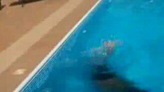 Бассейнский котик - смотреть видео (0:13)