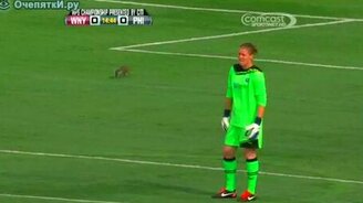 Неожиданная спортсменка - смотреть видео (0:48)