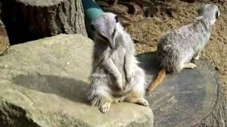 Только б не уснуть - смотреть видео (1:21)