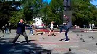 Битва голубями - смотреть видео (0:17)