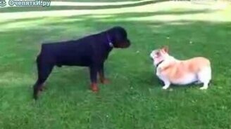 Уйди от меня - смотреть видео (0:30)