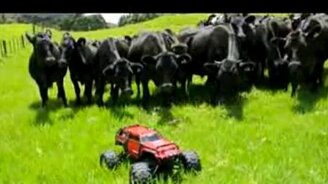 Современный пастух - смотреть видео (2:38)