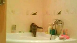Случай в ванной - смотреть видео (0:15)
