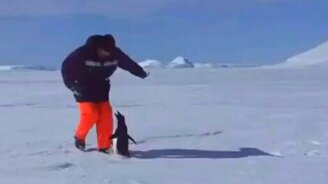 Опасный тип - смотреть видео (0:07)