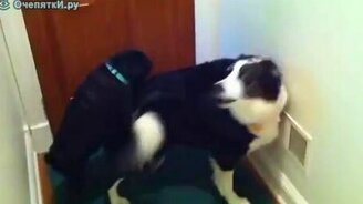 Хочу дружить! - смотреть видео (0:32)