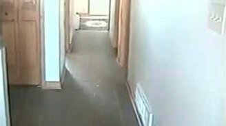 Откуда зов? - смотреть видео (0:37)