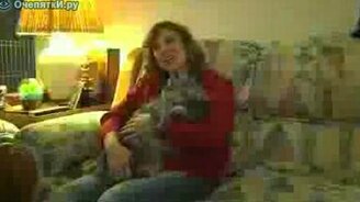 Огромный котяра - смотреть видео (1:25)