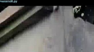 Обезьяний паркур - смотреть видео (2:43)