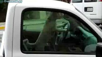 Нетерпеливый водитель - смотреть видео (1:05)