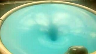 Копилка в зоопарке - смотреть видео (0:32)