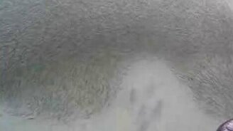 Эпическая охота - смотреть видео (1:05)