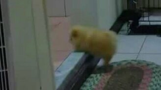 Преодолевая порог - смотреть видео (0:55)