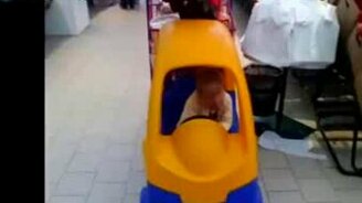 Засыпает за рулём - смотреть видео (0:17)