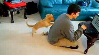 Удели мне внимание - смотреть видео (0:26)