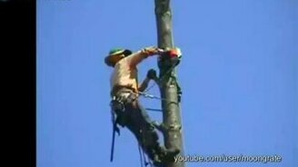 Весёлый лесоруб - смотреть видео (0:16)